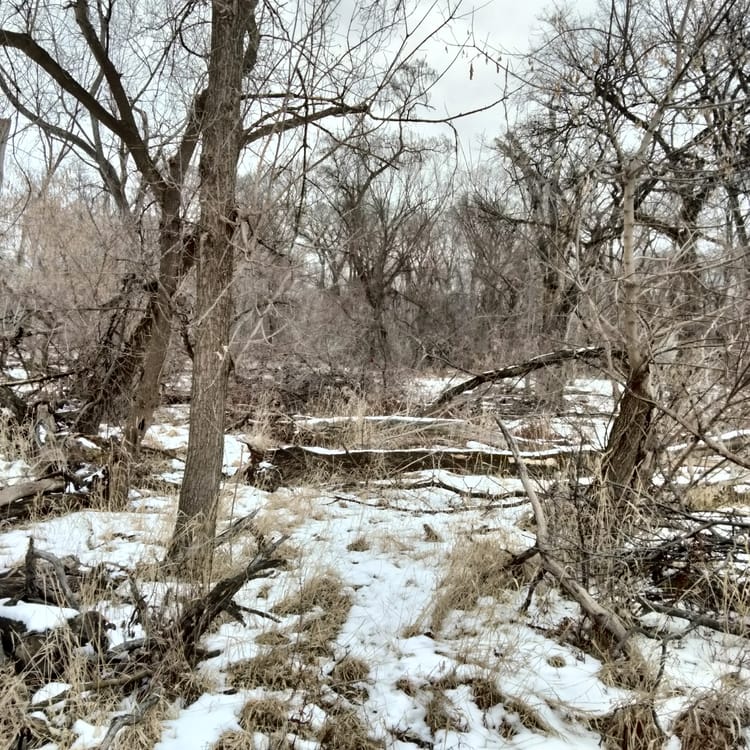 March and April Performances