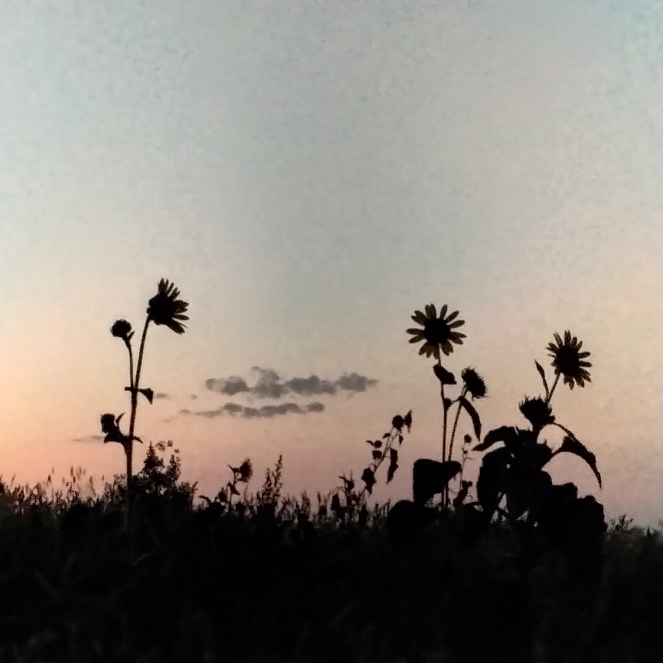 Composing the Climate