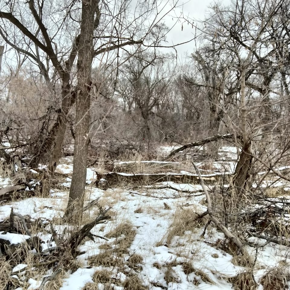 March and April Performances